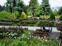 Summer Vacation 2018-105  The International Rose Test Garden where they develop new breeds. Really Beautiful!